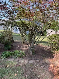 Professional hardscaping project
