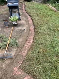 Professional garden landscaping project