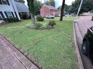 Professional lawn care project