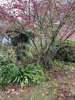 Professional hardscaping project